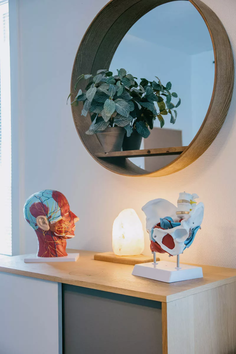 Décoration naturelle du cabinet