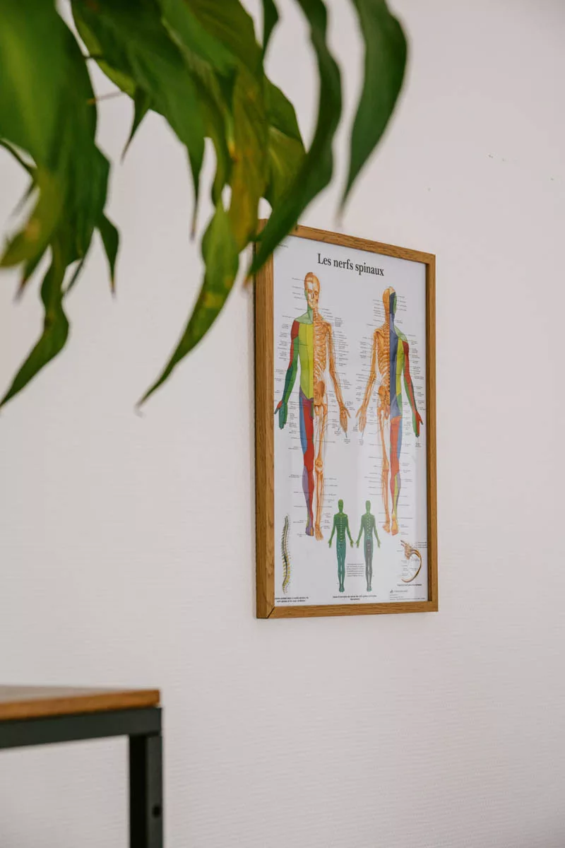 Plantes et ambiance du cabinet